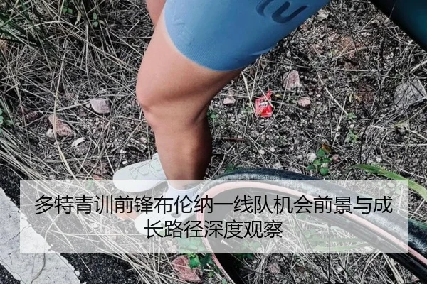 多特青训前锋布伦纳一线队机会前景与成长路径深度观察